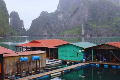 Hanoi - Halong Bay - Sung Sot Cave - Pearl Farm Village - Ho Dong Tien (L, D)